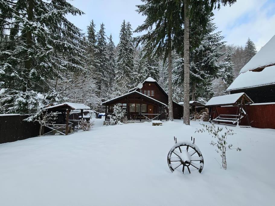 Fabian Kulcsoshaz Villa Izvoare  Esterno foto